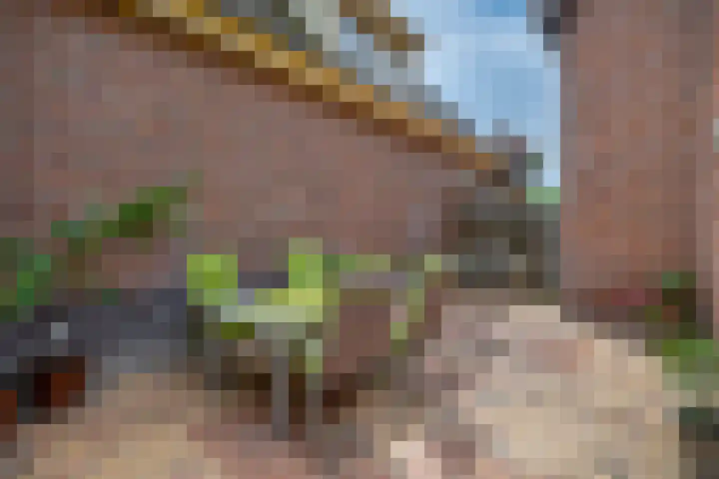 Nicolaas van Catsweg 1 Lopik thumbnail 25