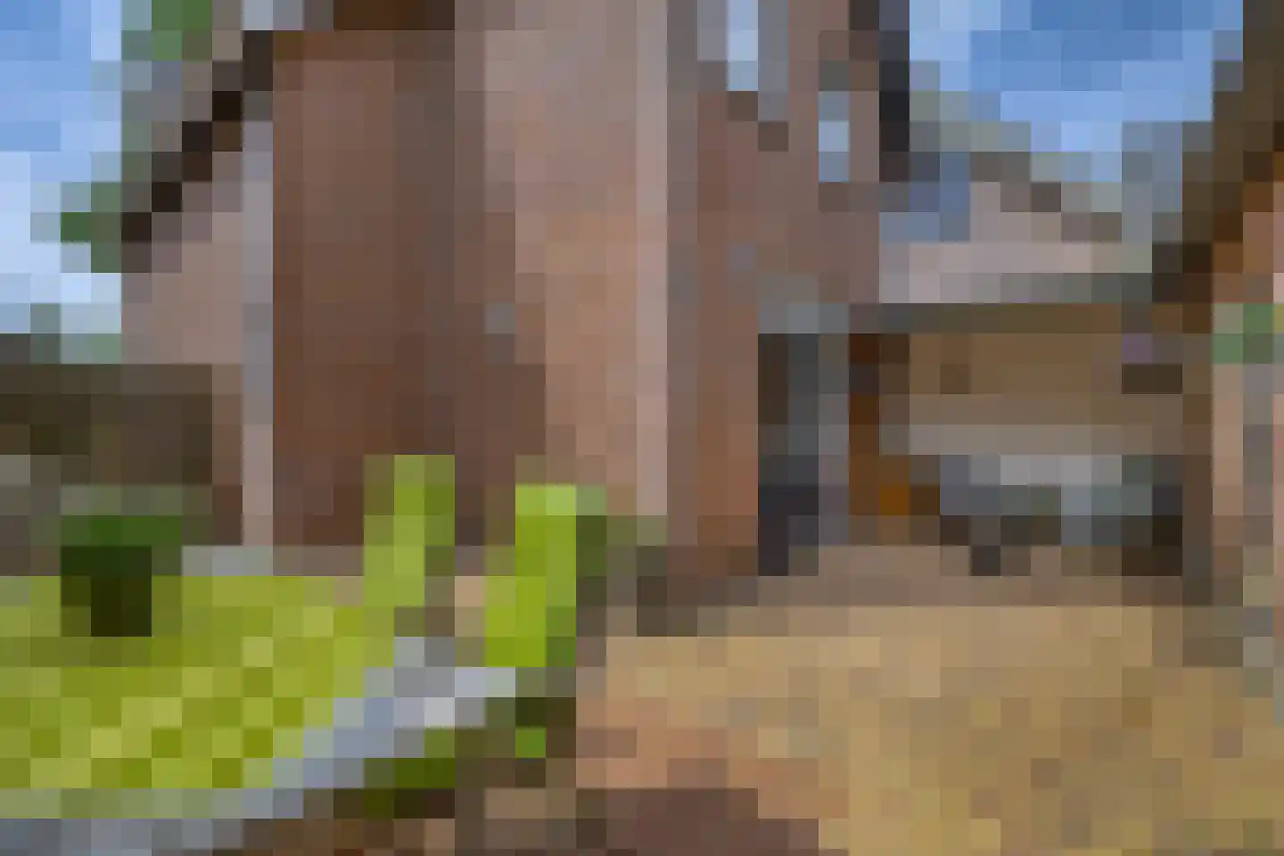 Nicolaas van Catsweg 1 Lopik thumbnail 26