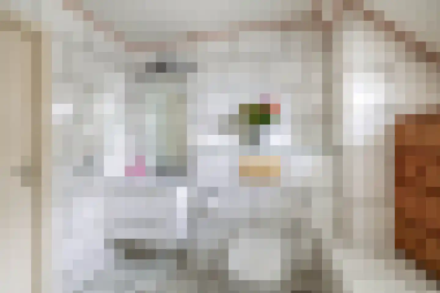 Nicolaas van Catsweg 1 Lopik thumbnail 32