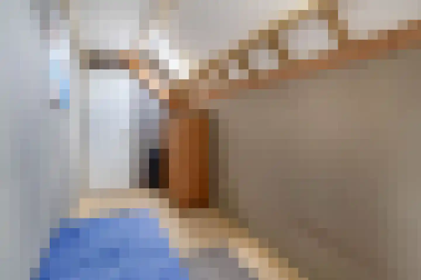 Nicolaas van Catsweg 1 Lopik thumbnail 35