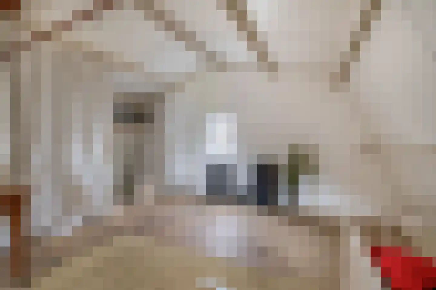 Nicolaas van Catsweg 1 Lopik thumbnail 42