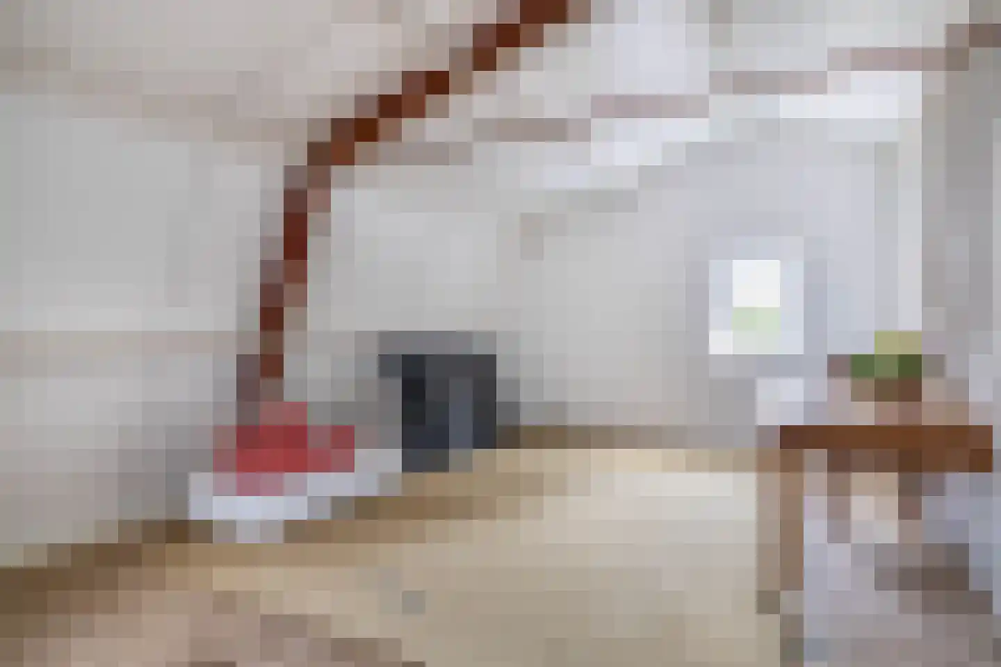 Nicolaas van Catsweg 1 Lopik thumbnail 43
