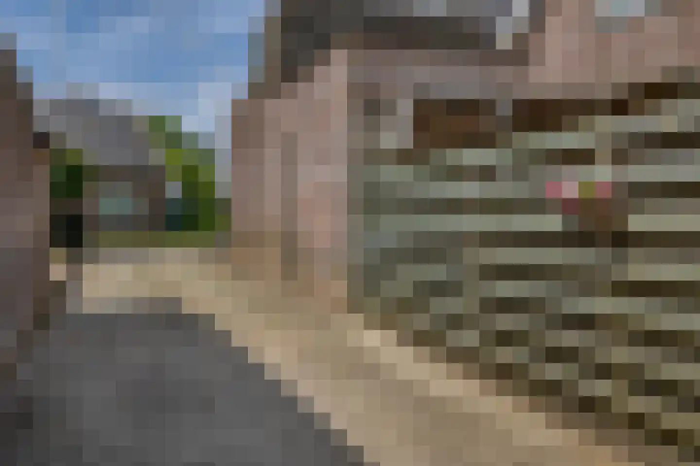 Nicolaas van Catsweg 1 Lopik thumbnail 44