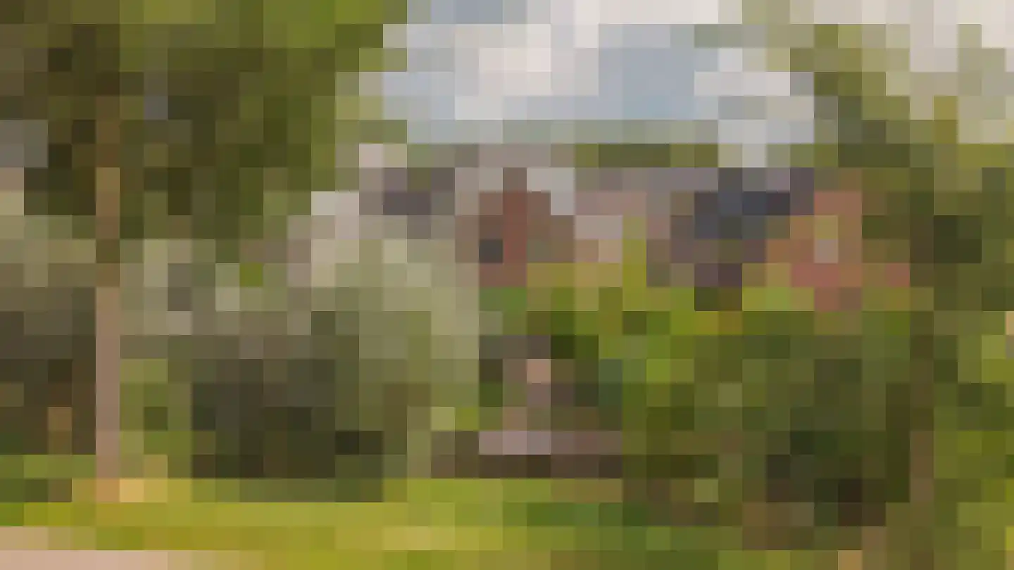 Nicolaas van Catsweg 1 Lopik thumbnail 46