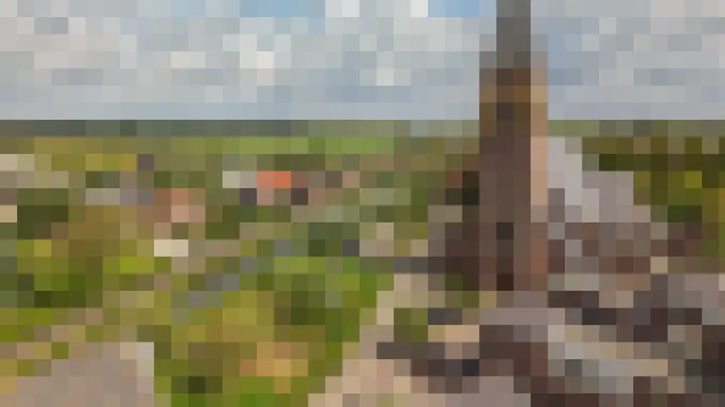 Nicolaas van Catsweg 1 Lopik thumbnail 48
