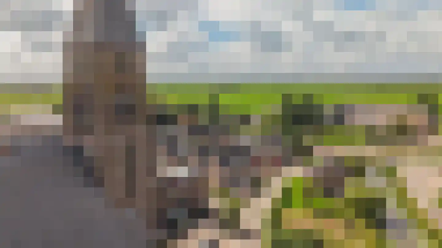 Nicolaas van Catsweg 1 Lopik thumbnail 49