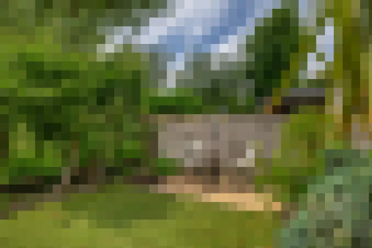 Nicolaas van Catsweg 1 Lopik thumbnail 5