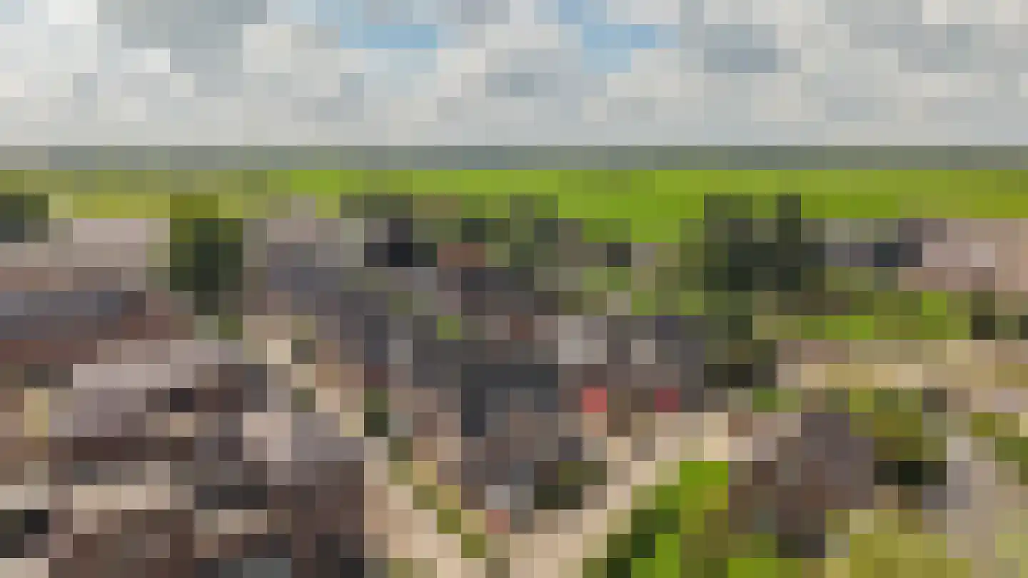 Nicolaas van Catsweg 1 Lopik thumbnail 50