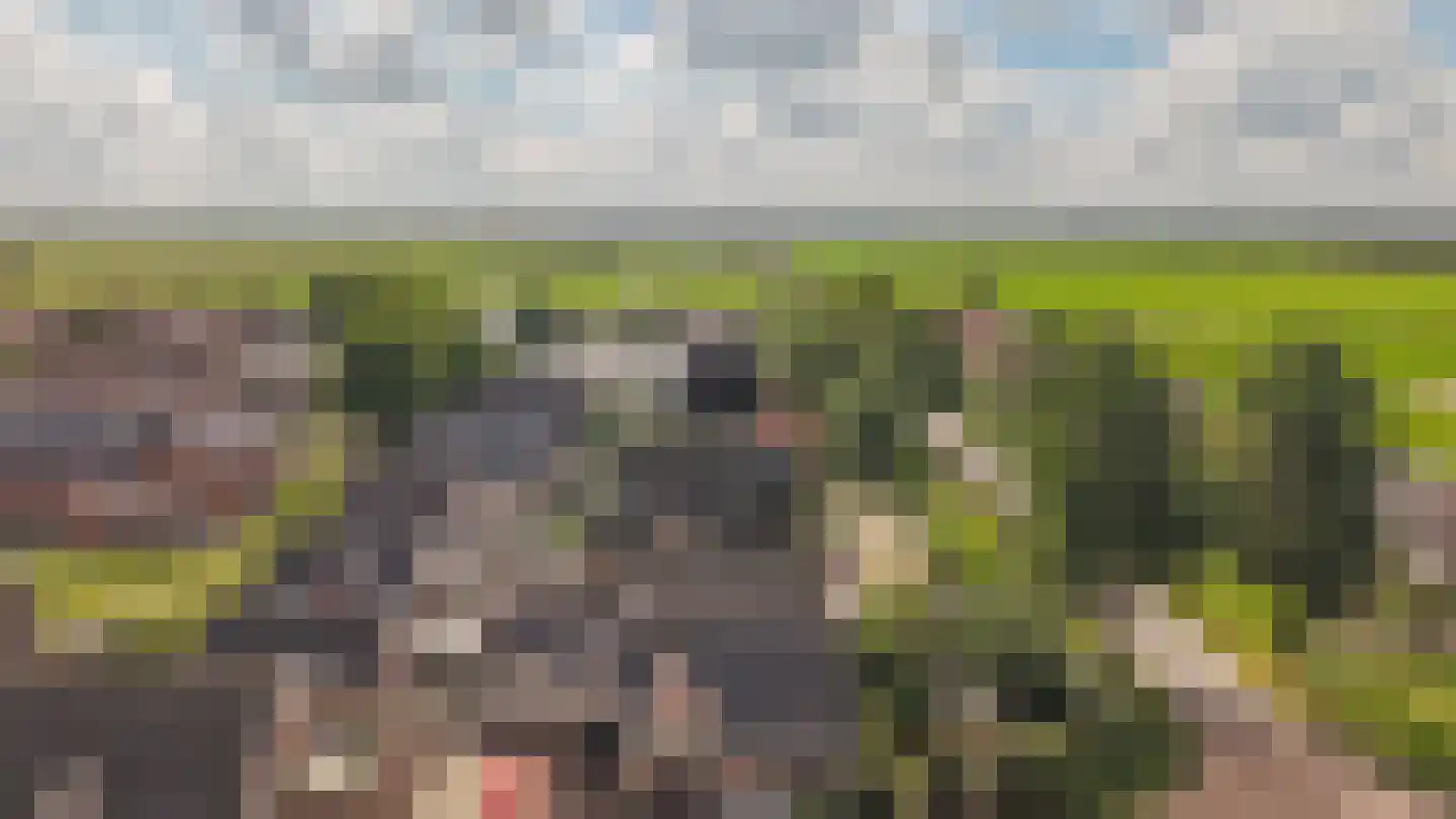 Nicolaas van Catsweg 1 Lopik thumbnail 51