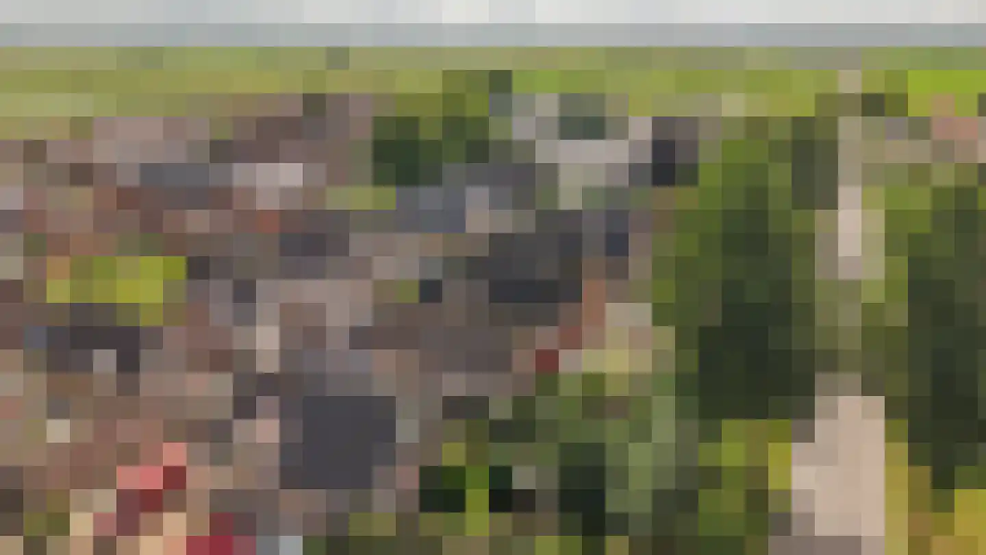 Nicolaas van Catsweg 1 Lopik thumbnail 52
