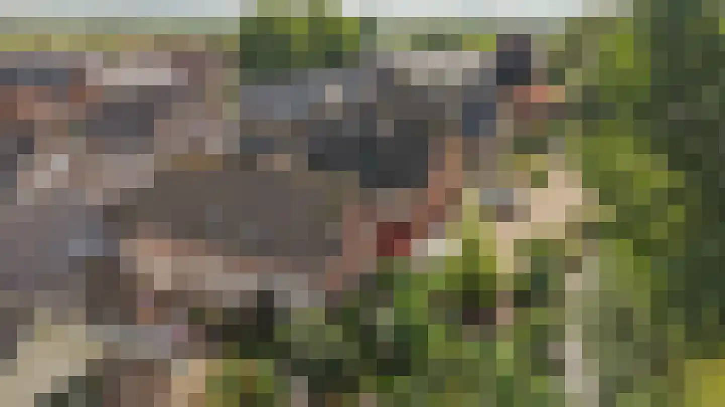 Nicolaas van Catsweg 1 Lopik thumbnail 53