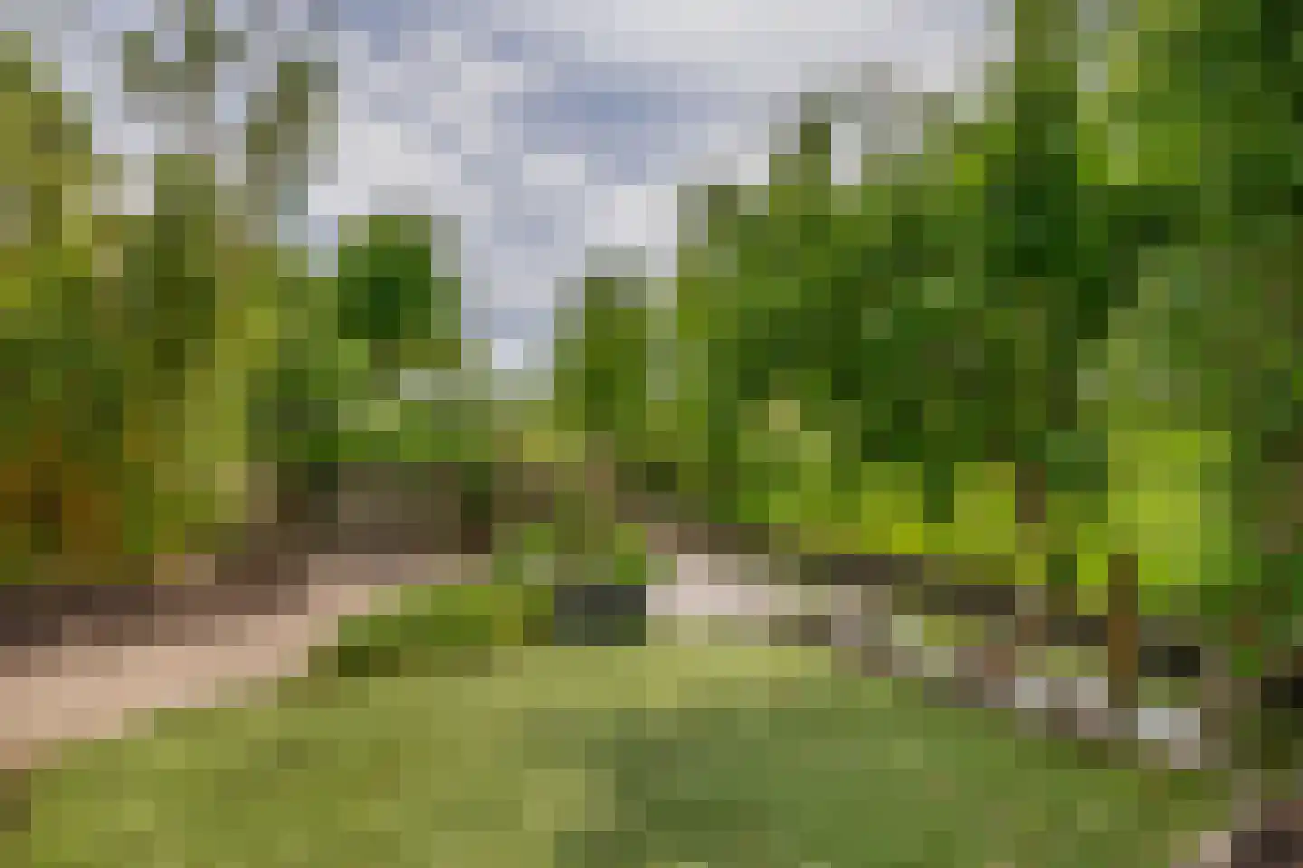 Nicolaas van Catsweg 1 Lopik thumbnail 6