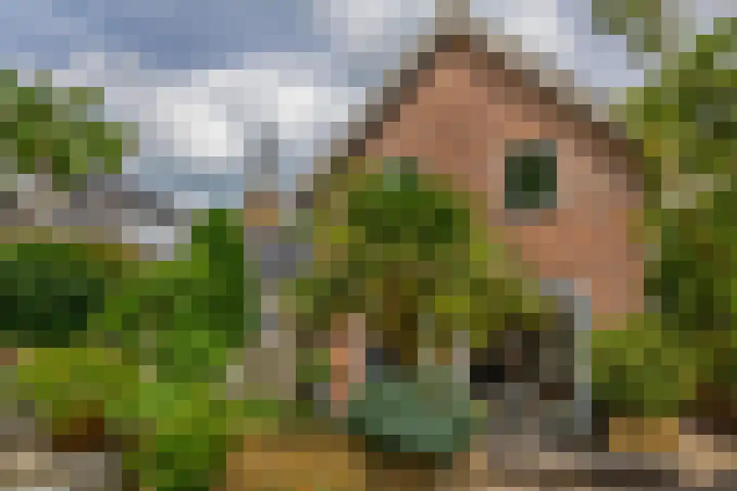Nicolaas van Catsweg 1 Lopik thumbnail 8