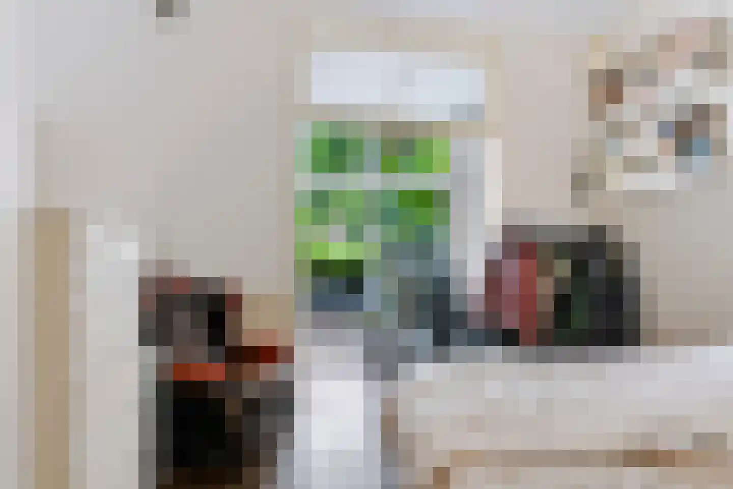 Nicolaas van der Laanstraat 17 ZW Haarlem thumbnail 15