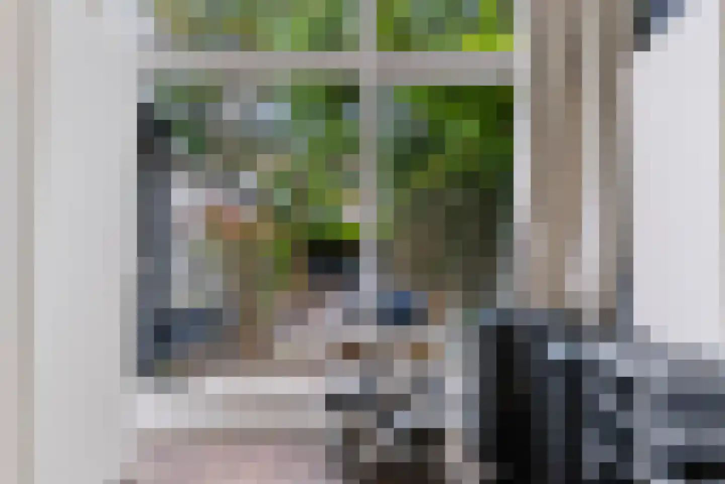 Nicolaas van der Laanstraat 17 ZW Haarlem thumbnail 16