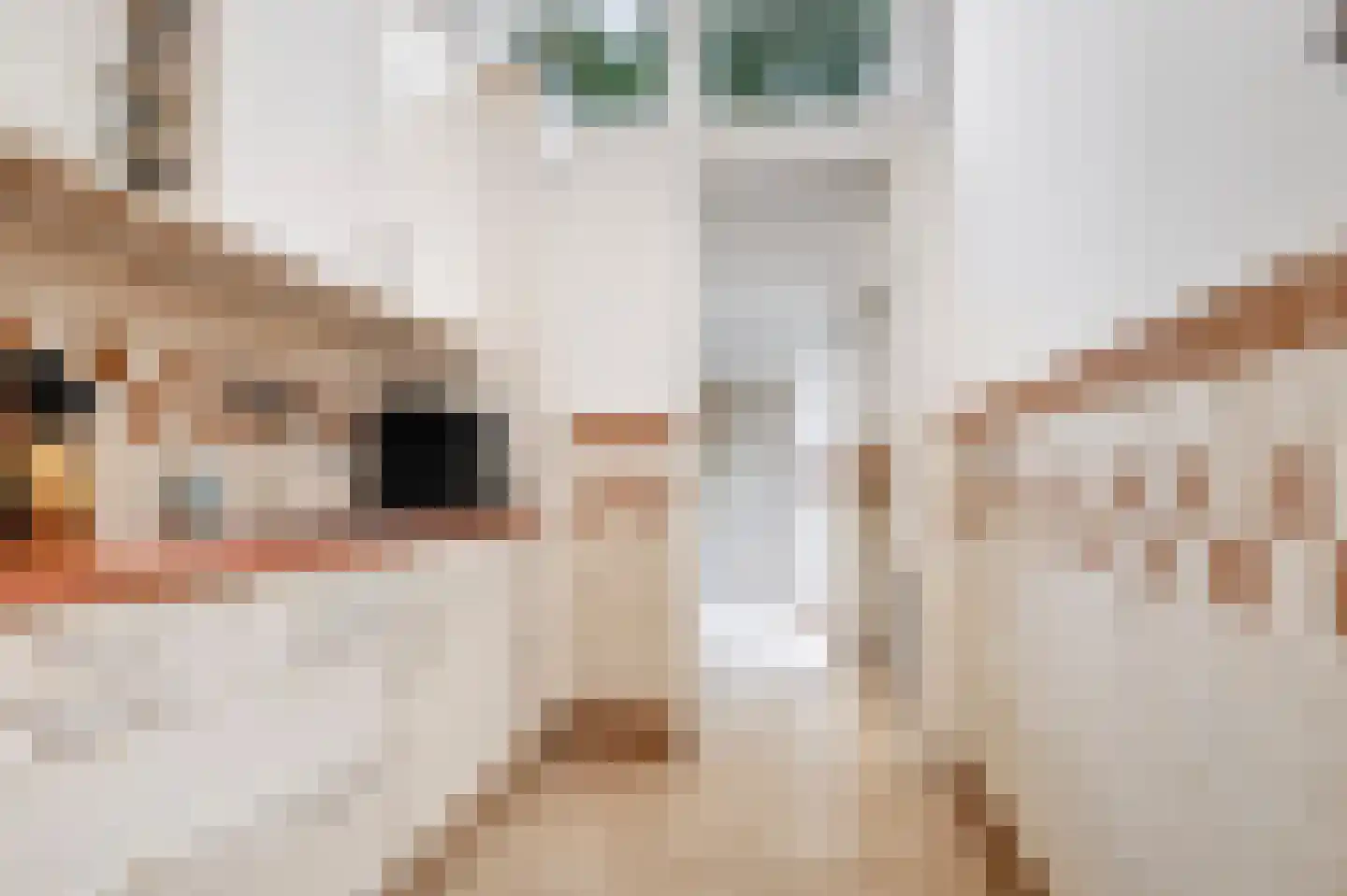 Nicolaas van der Laanstraat 17 ZW Haarlem thumbnail 18