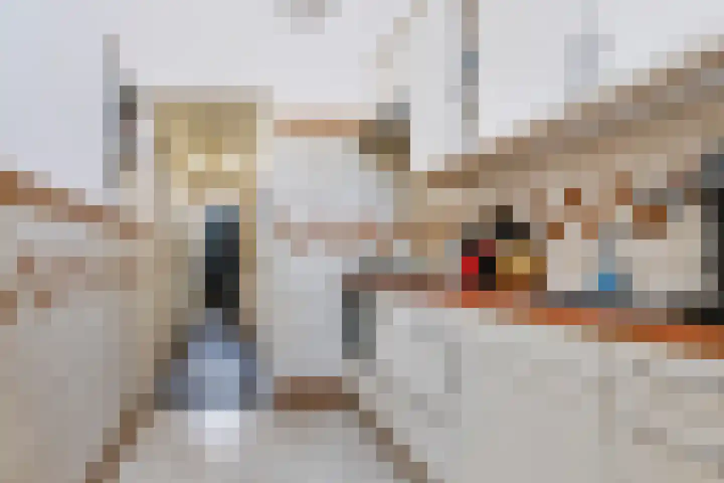 Nicolaas van der Laanstraat 17 ZW Haarlem thumbnail 19