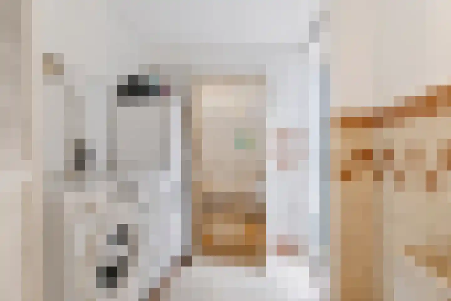 Nicolaas van der Laanstraat 17 ZW Haarlem thumbnail 20