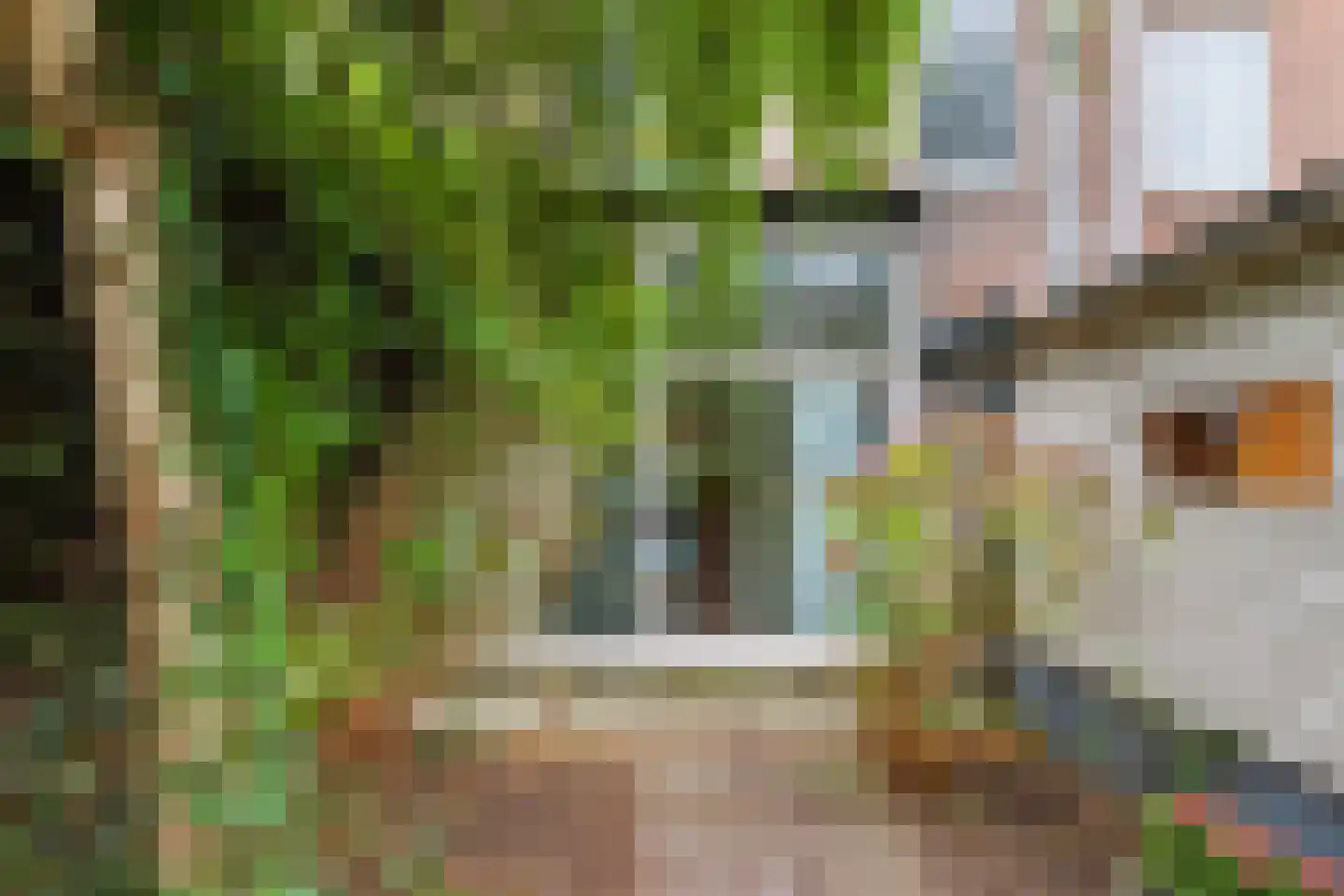Nicolaas van der Laanstraat 17 ZW Haarlem thumbnail 28