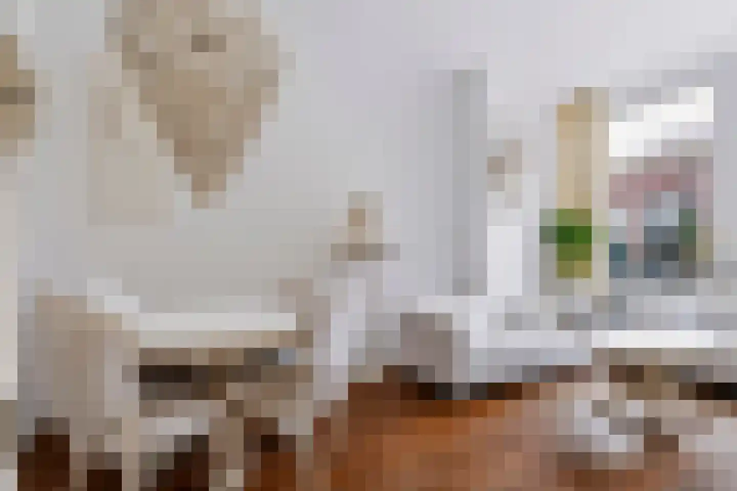 Nicolaas van der Laanstraat 17 ZW Haarlem thumbnail 6
