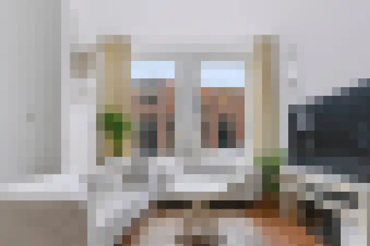 Nicolaas van der Laanstraat 17 ZW Haarlem thumbnail 7