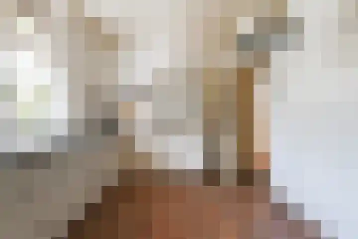 Nicolaas van Eschstraat 32 Oisterwijk thumbnail 15