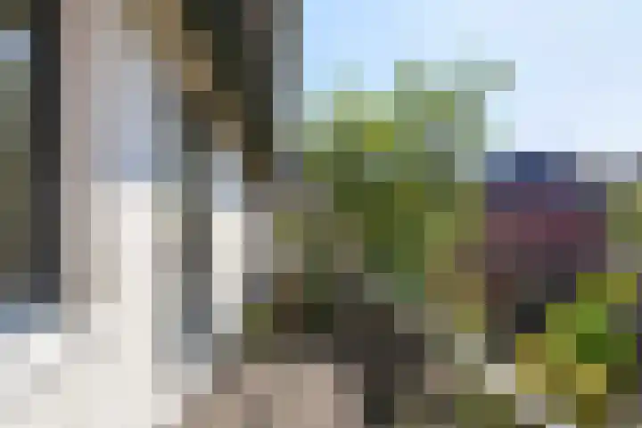 Nicolaas van Eschstraat 32 Oisterwijk thumbnail 31