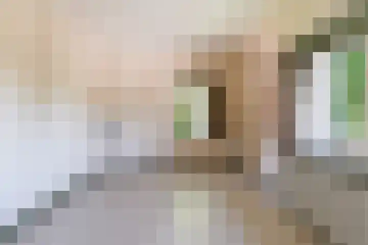 Nicolaas van Eschstraat 32 Oisterwijk thumbnail 33