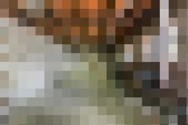 Nicolaas van Eschstraat 32 Oisterwijk thumbnail 41