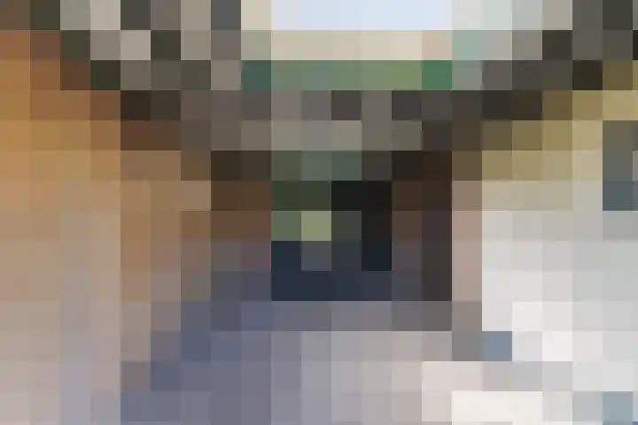 Nicolaas van Eschstraat 32 Oisterwijk thumbnail 44