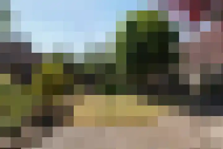 Nicolaas van Eschstraat 32 Oisterwijk thumbnail 47