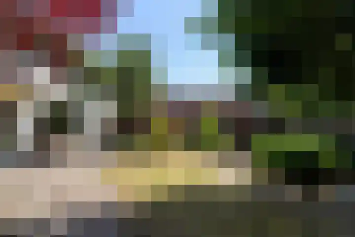 Nicolaas van Eschstraat 32 Oisterwijk thumbnail 49