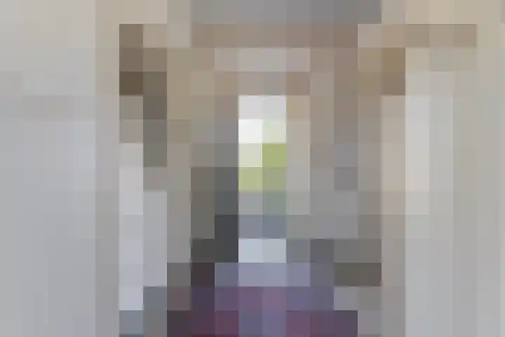 Nicolaas van Eschstraat 32 Oisterwijk thumbnail 5