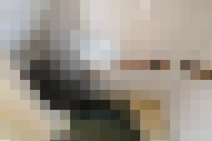 Nicolaas van Eschstraat 32 Oisterwijk thumbnail 6