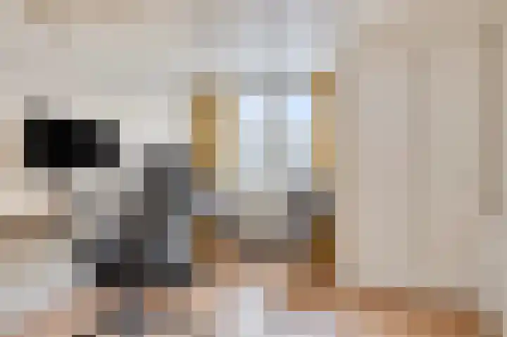 Nicolaas van Eschstraat 40 Oisterwijk thumbnail 26