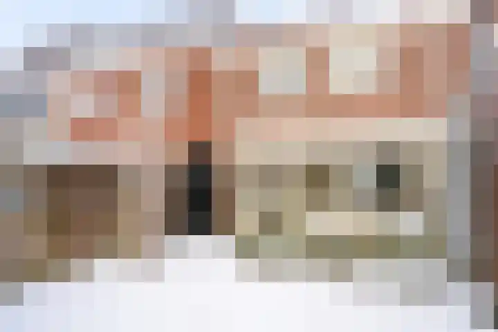 Nicolaas van Eschstraat 40 Oisterwijk thumbnail 36