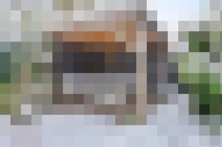 Nicolaas van Eschstraat 40 Oisterwijk thumbnail 39
