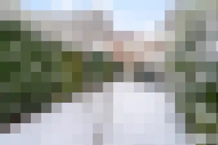 Nicolaas van Eschstraat 40 Oisterwijk thumbnail 42