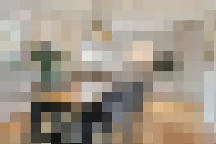 Nicolaas van Eschstraat 40 Oisterwijk thumbnail 8