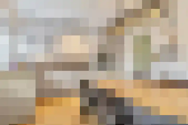 Nicolaas van Eschstraat 40 Oisterwijk thumbnail 9