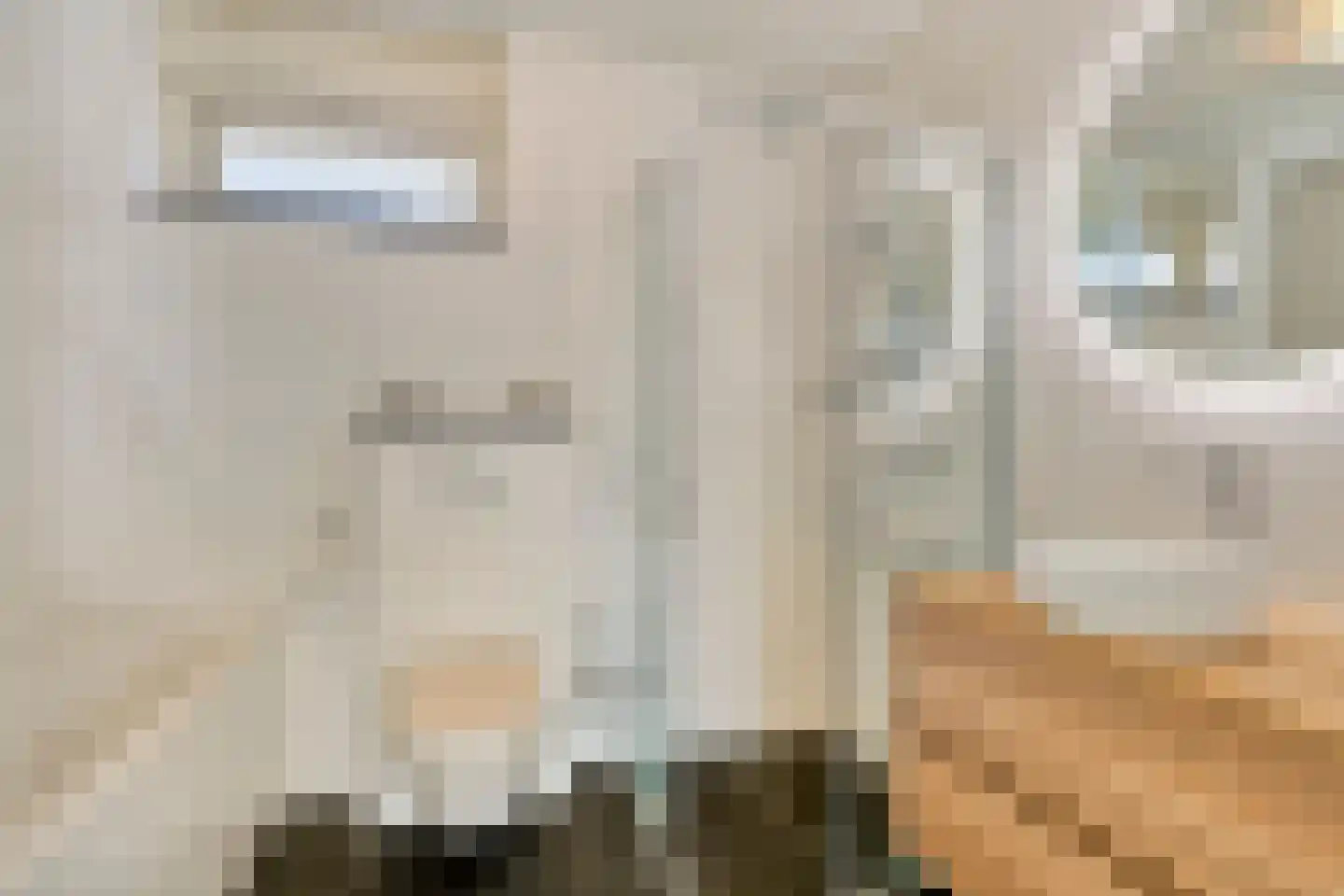 Nicolaas van Puttenstraat 1 Poortugaal thumbnail 18