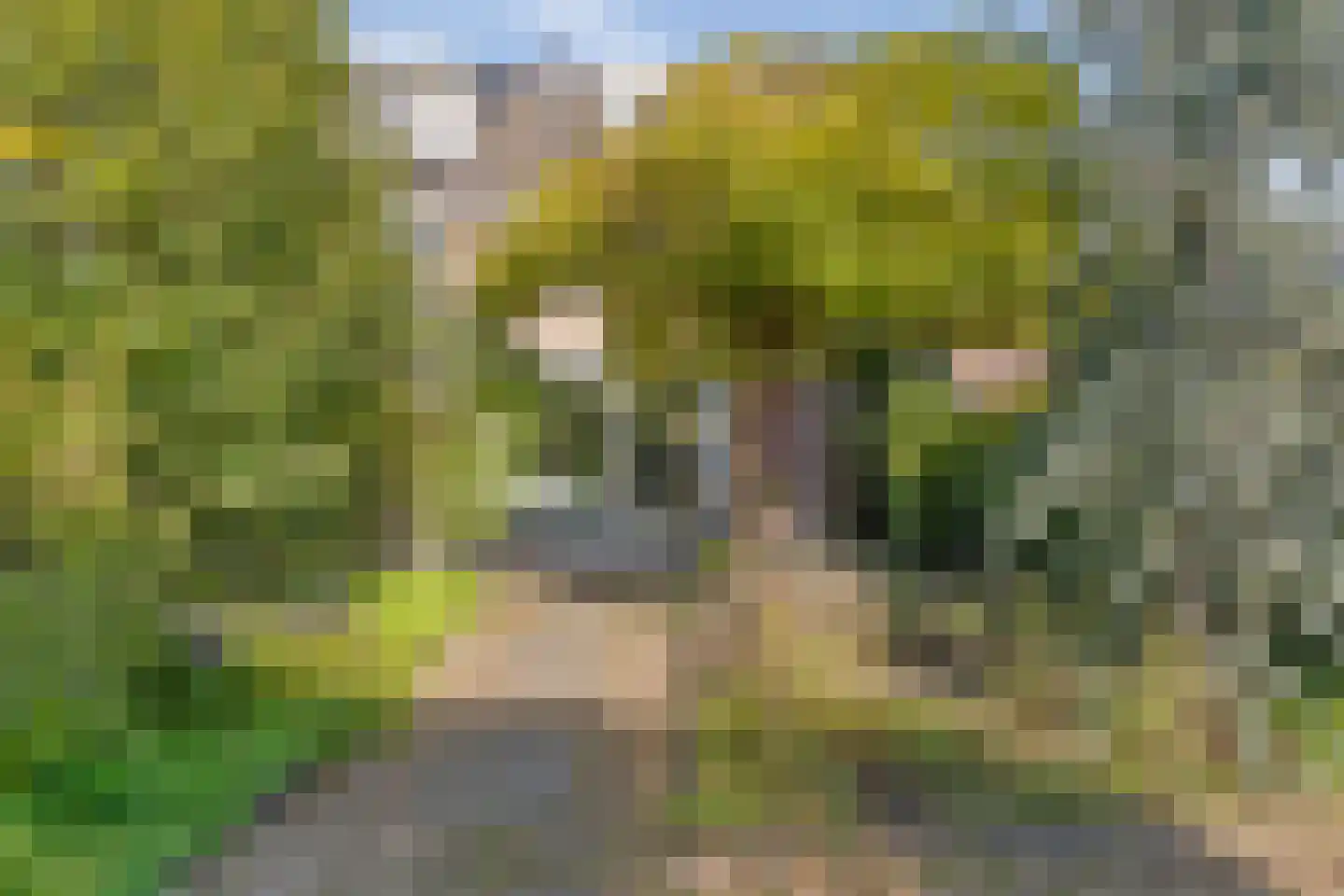 Nicolaas van Puttenstraat 1 Poortugaal thumbnail 32