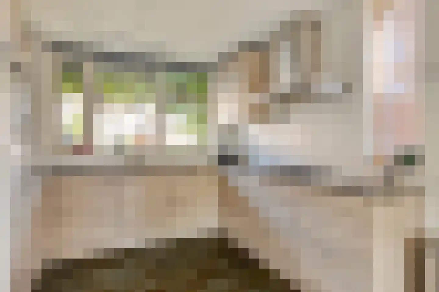 Nicolaas van Puttenstraat 1 Poortugaal thumbnail 5