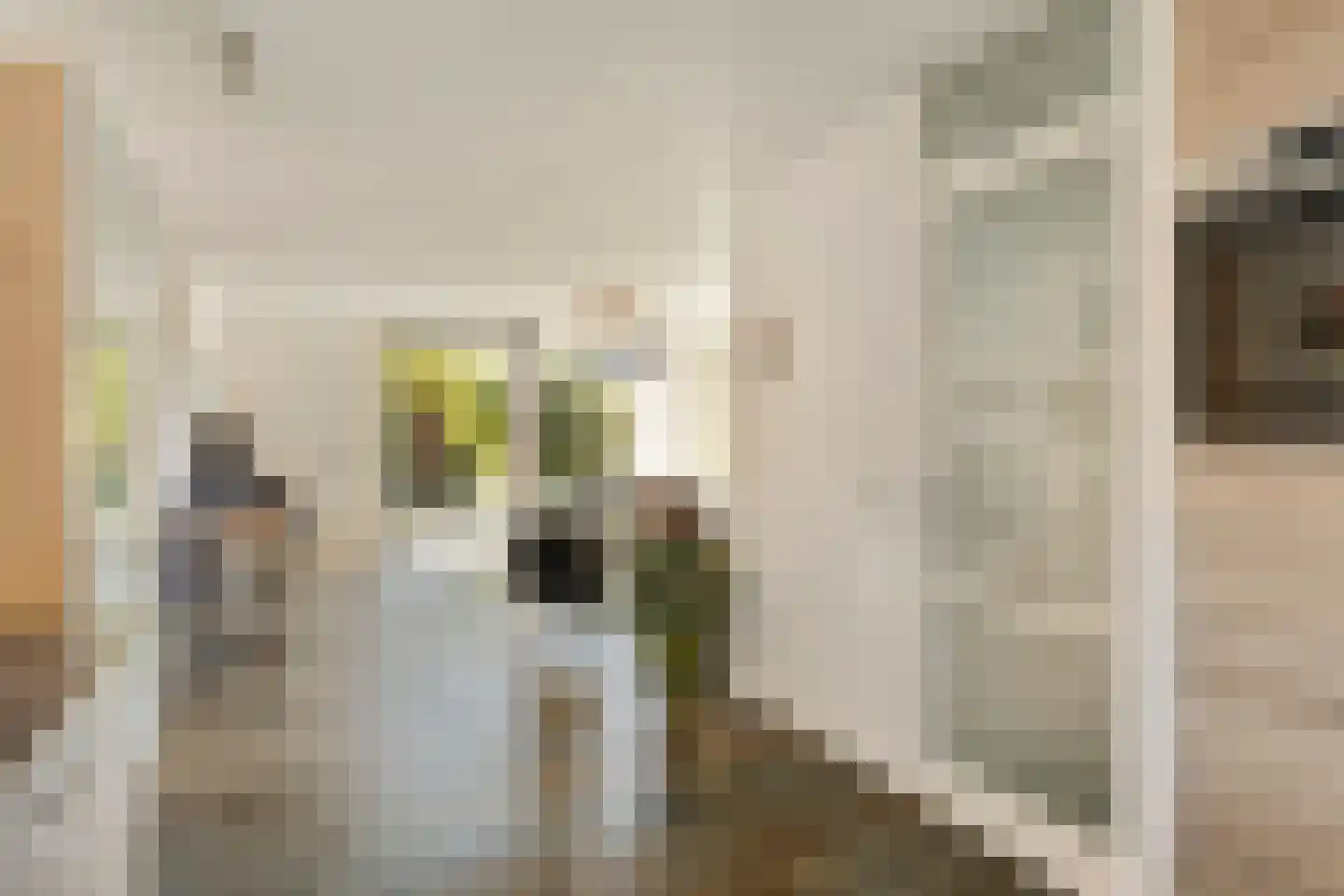 Nicolaas van Puttenstraat 1 Poortugaal thumbnail 9