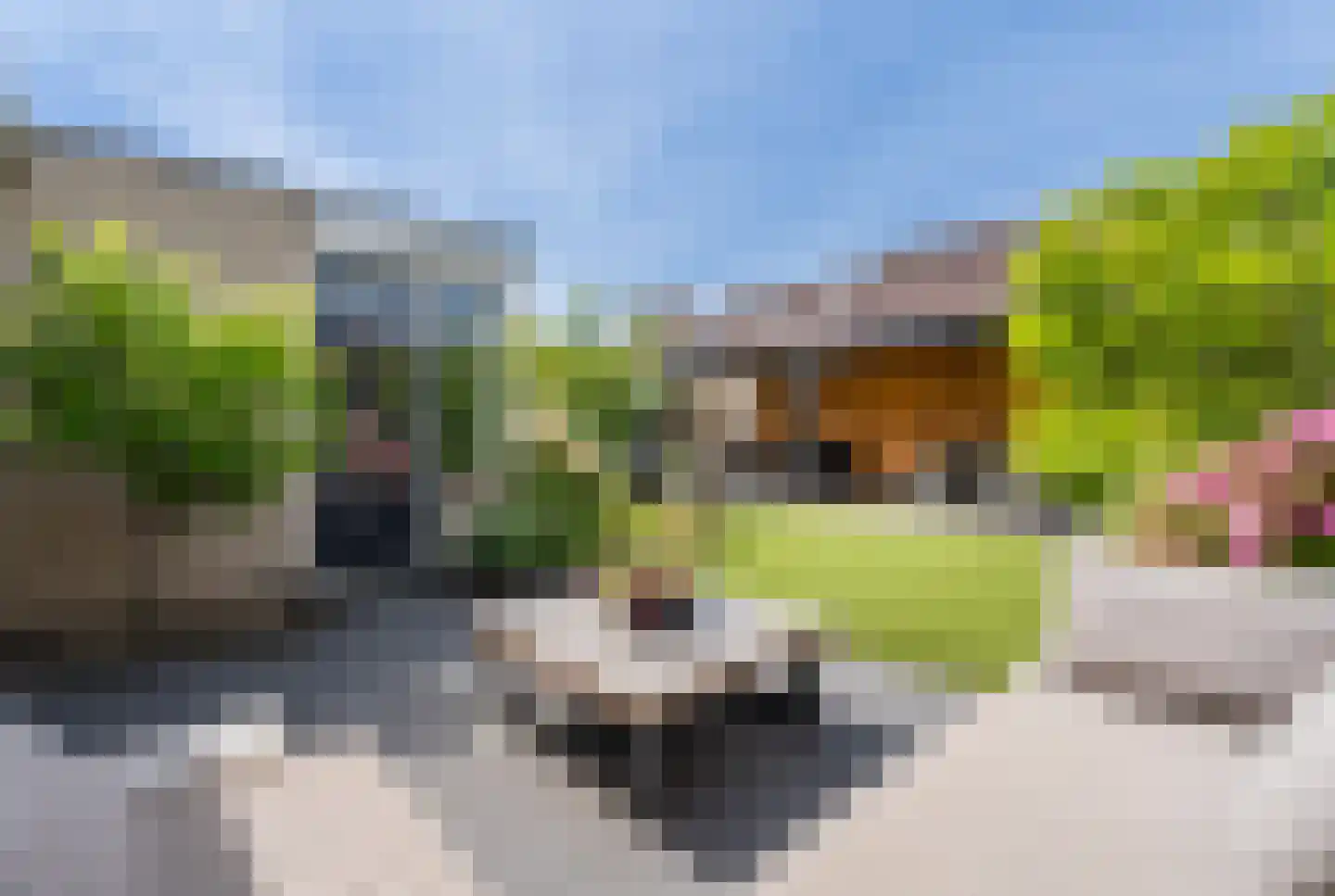 Nicolaas Verschoorstraat 5 Hellevoetsluis thumbnail 5
