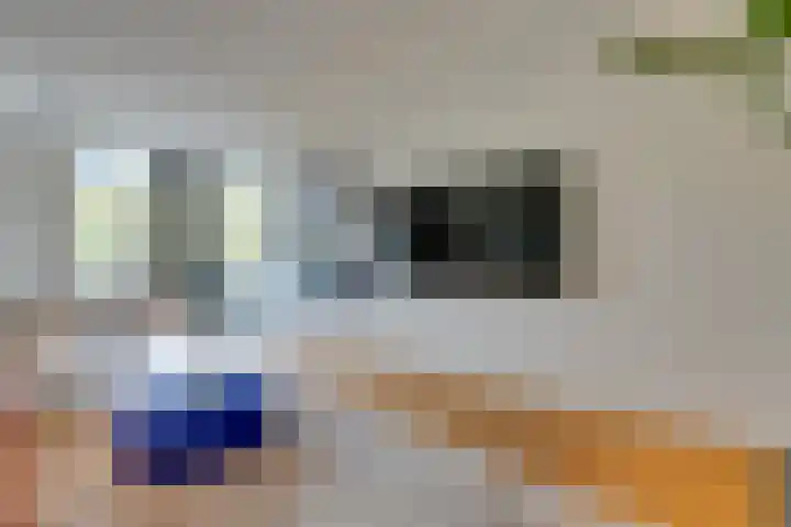 Nicolaas Witsenkade 11 B Amsterdam thumbnail 12