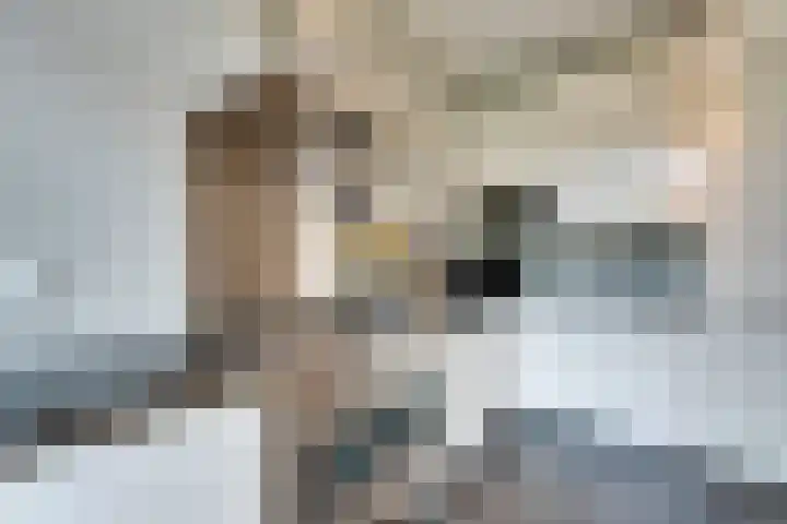 Nicolaas Witsenkade 11 B Amsterdam thumbnail 18