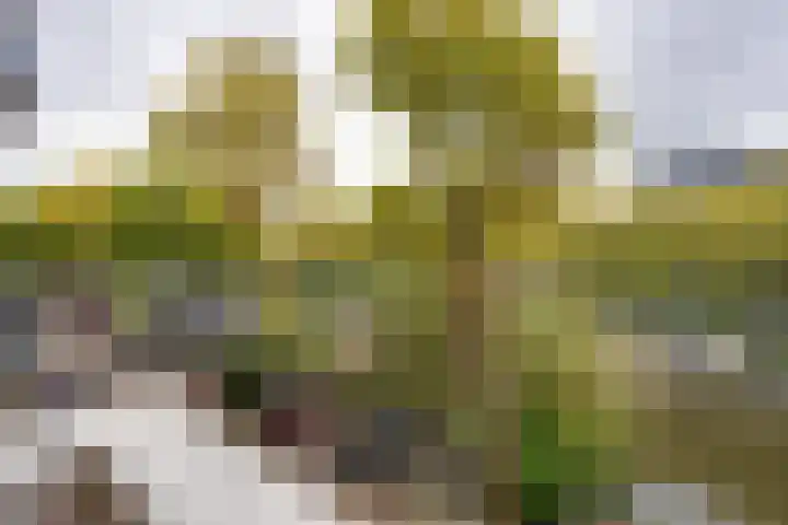 Nicolaas Witsenkade 11 B Amsterdam thumbnail 21