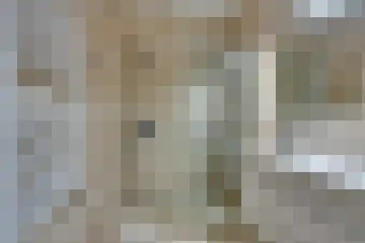 Nicolaas Witsenkade 11 B Amsterdam thumbnail 28