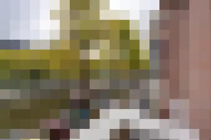 Nicolaas Witsenkade 11 B Amsterdam thumbnail 5